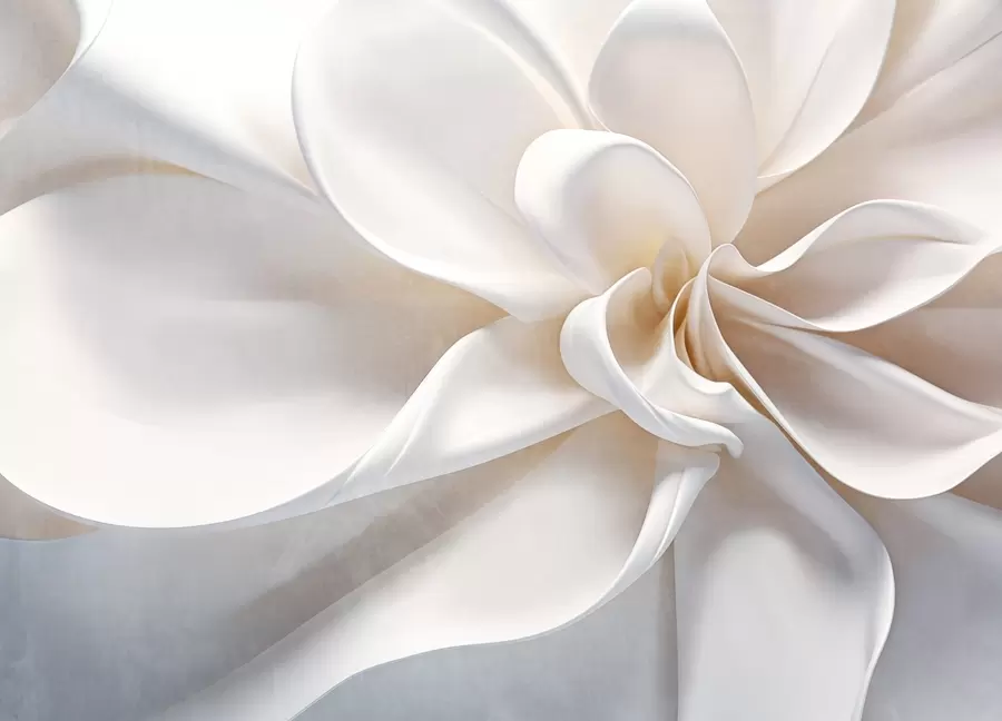 wall murals A white pastel textured minimalistic flower with soft petals, light and airy, on a white background w08868