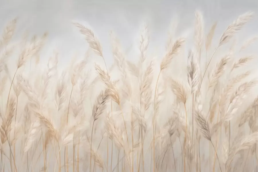 wall murals Spikelets against the blue sky w03530