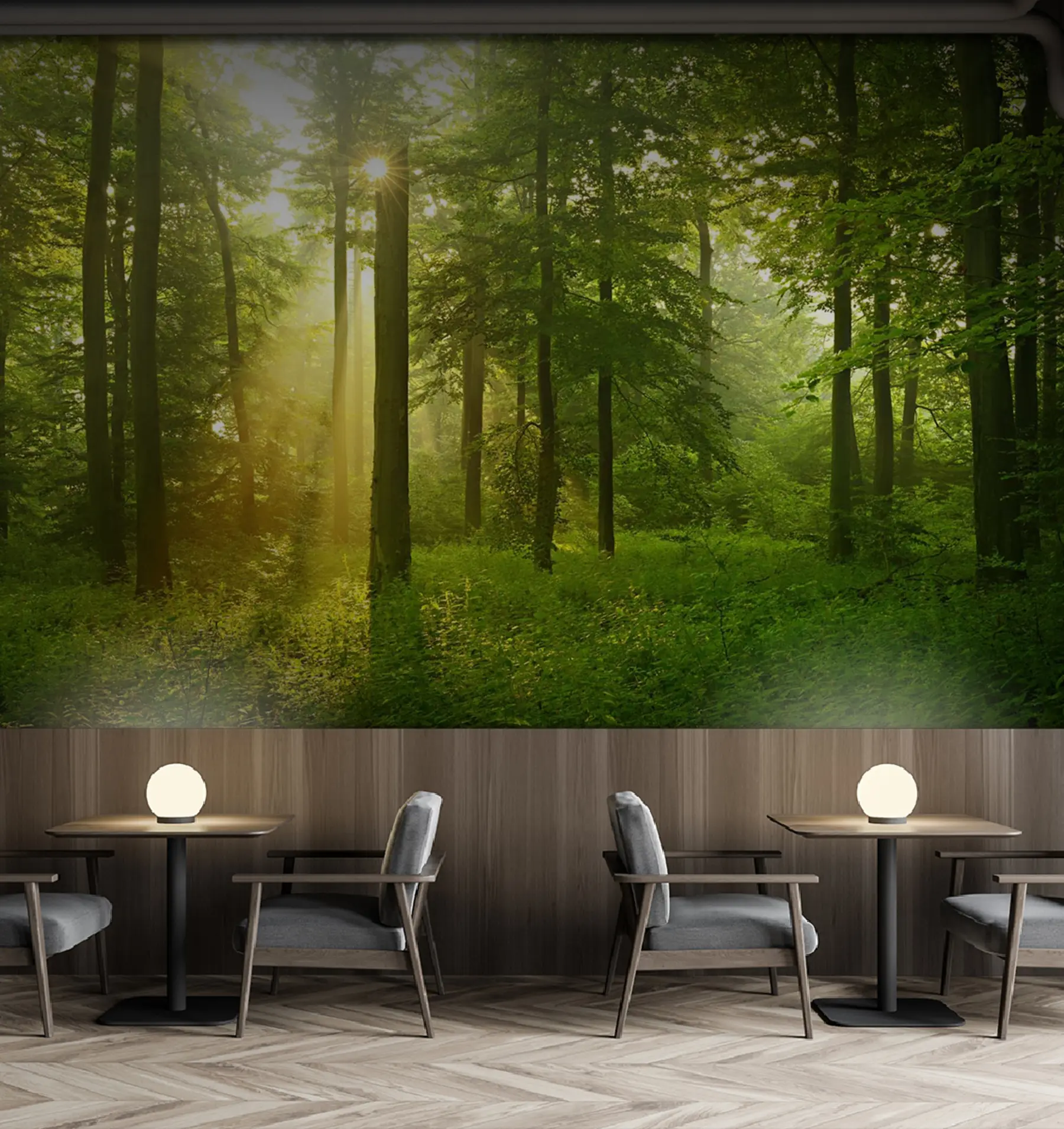 wall murals Silence in the sunny forest u57295
