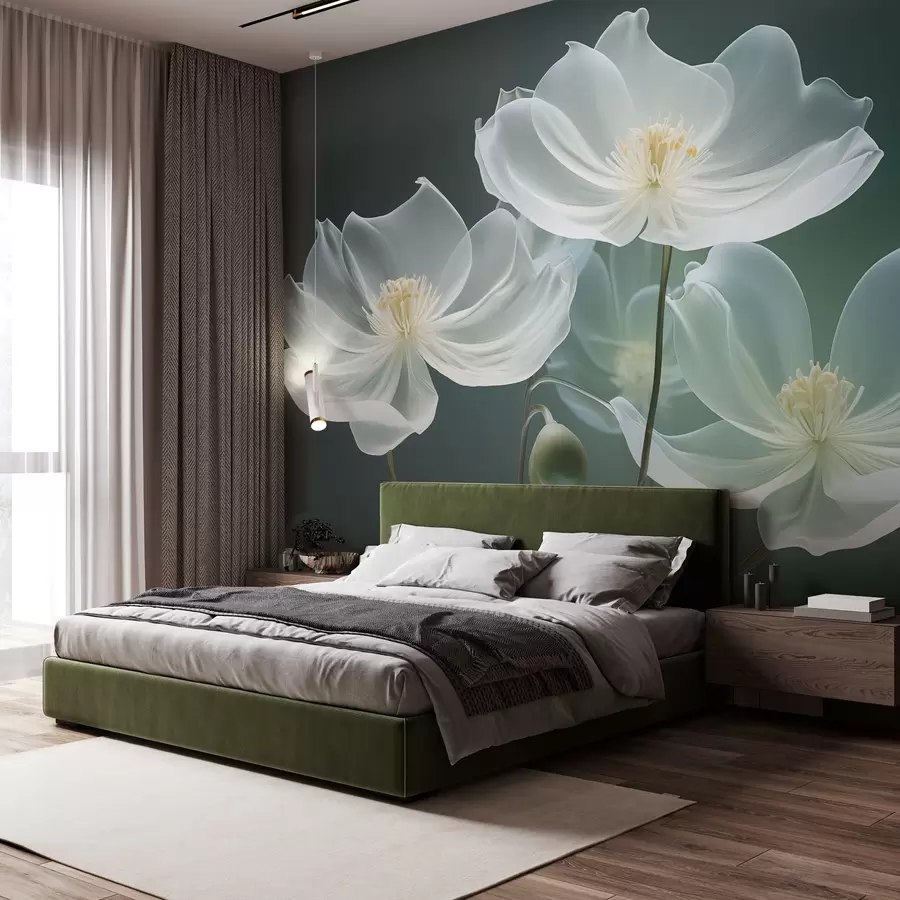 wall murals White delicate flowers with translucent petals w03647