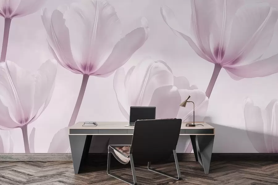 wall murals Beautiful tulips, floral, pink colors, realism w03877v2