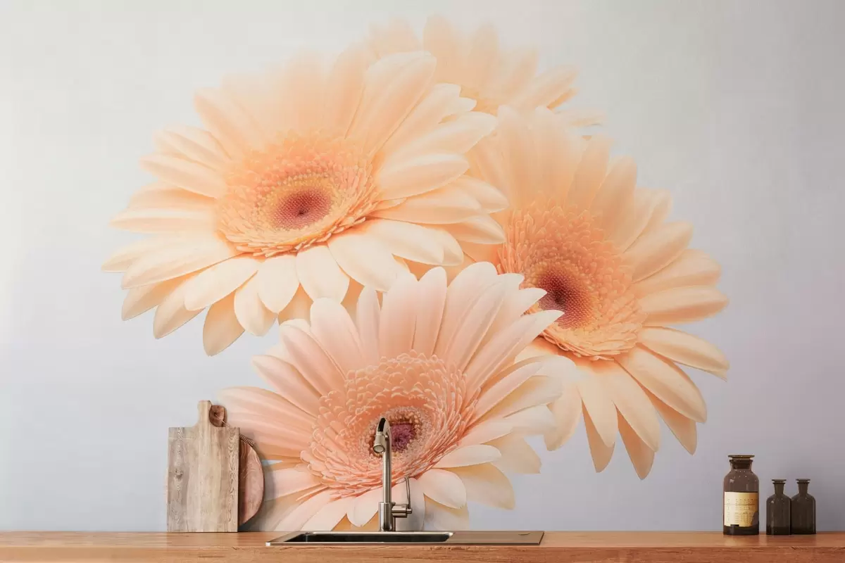wall murals Delicate gerberas w03929v1