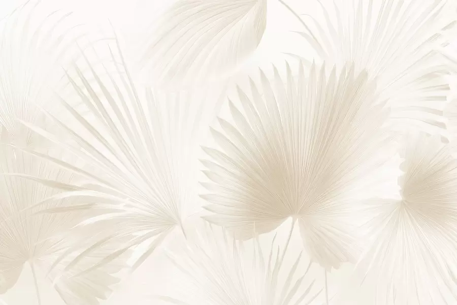wall murals Soft tropical leaf fans on a light background w09084v1