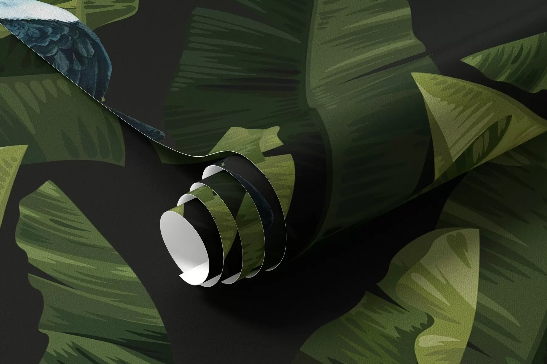 wall murals Toucan in Tropical Leaves a00415