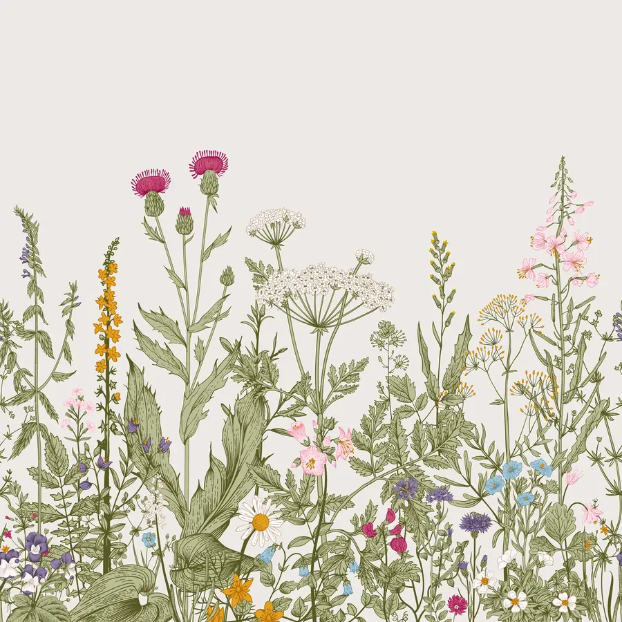 wall murals Boho style plants u71743