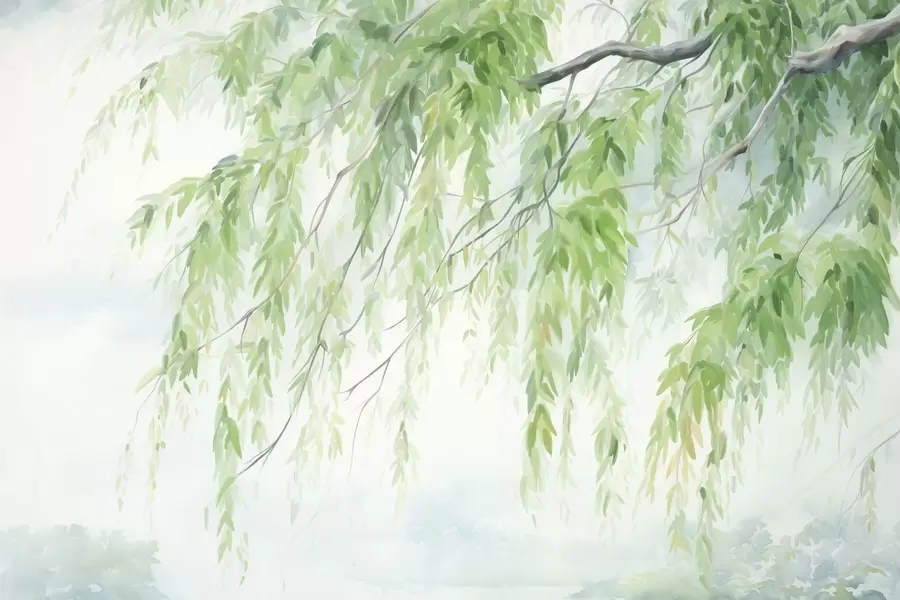 wall murals Weeping willow branches with green leaves hanging down, soft and delicate brushstrokes, watercolor painting style w09365