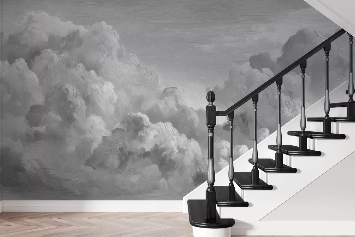 wall murals Monochrome textured cloud formation w04550v3