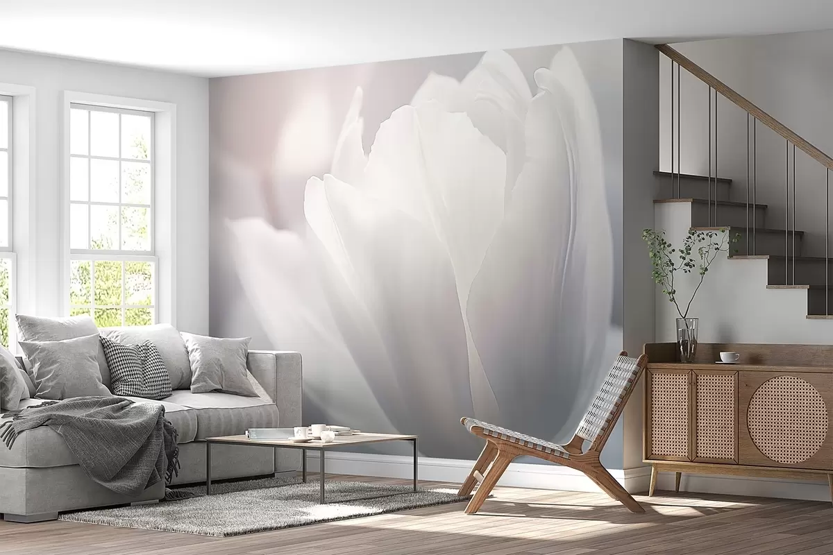 wall murals Tulip w04659