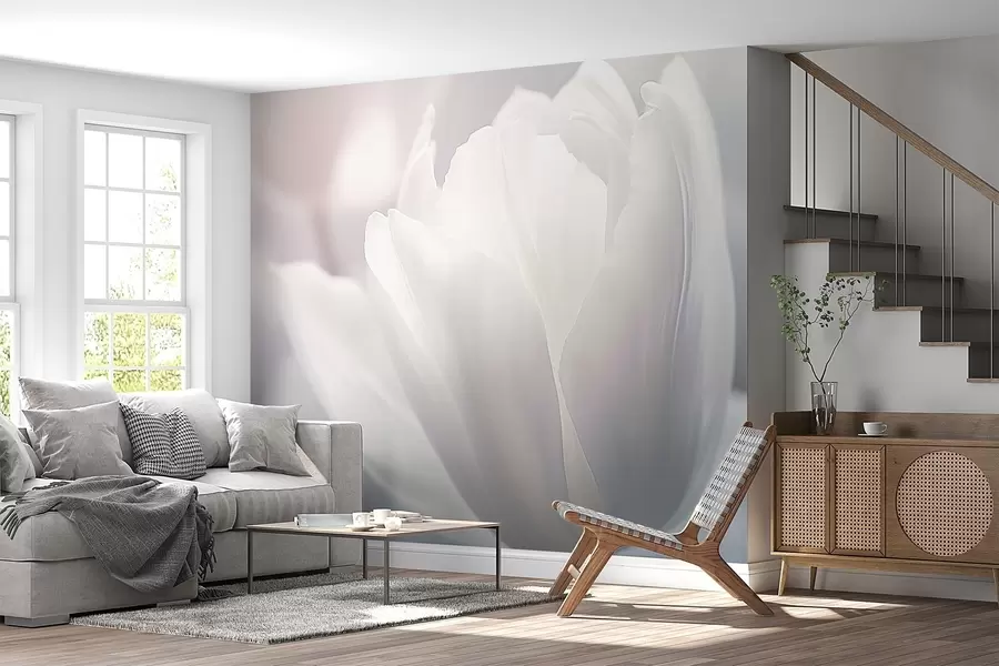wall murals Tulip w04659