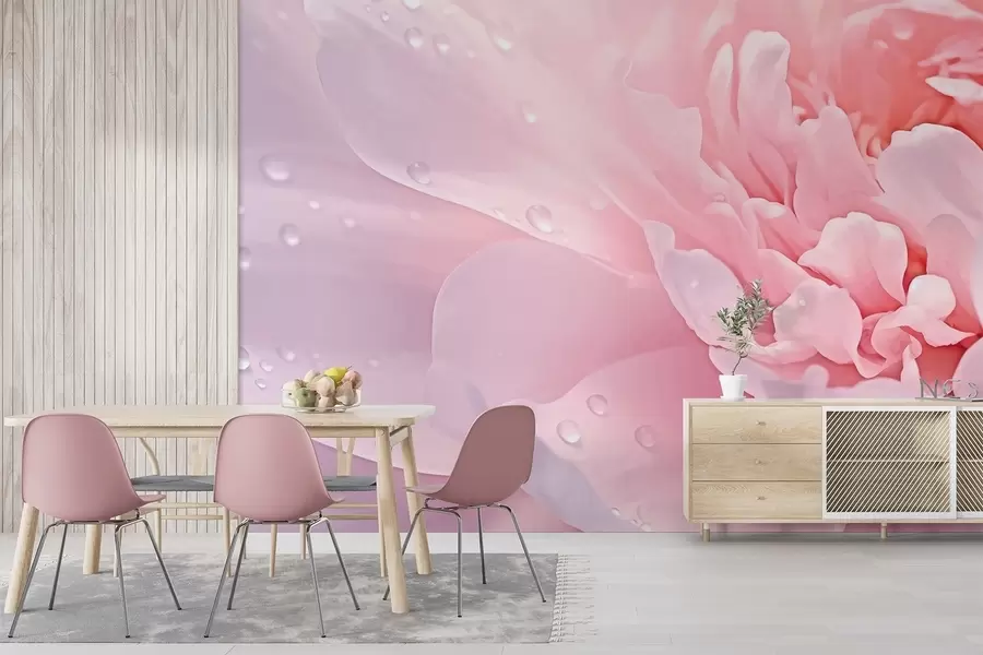 wall murals Large peony petals w04715