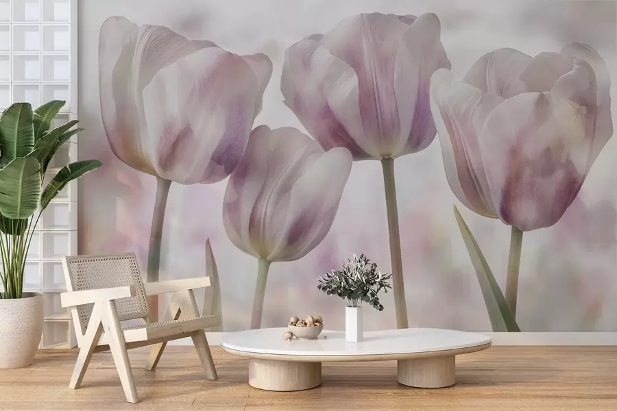 wall murals Tulips in soft colours w04700