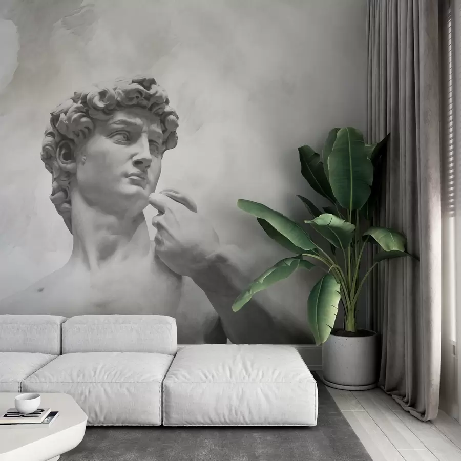 wall murals Renaissance Spirit w04767