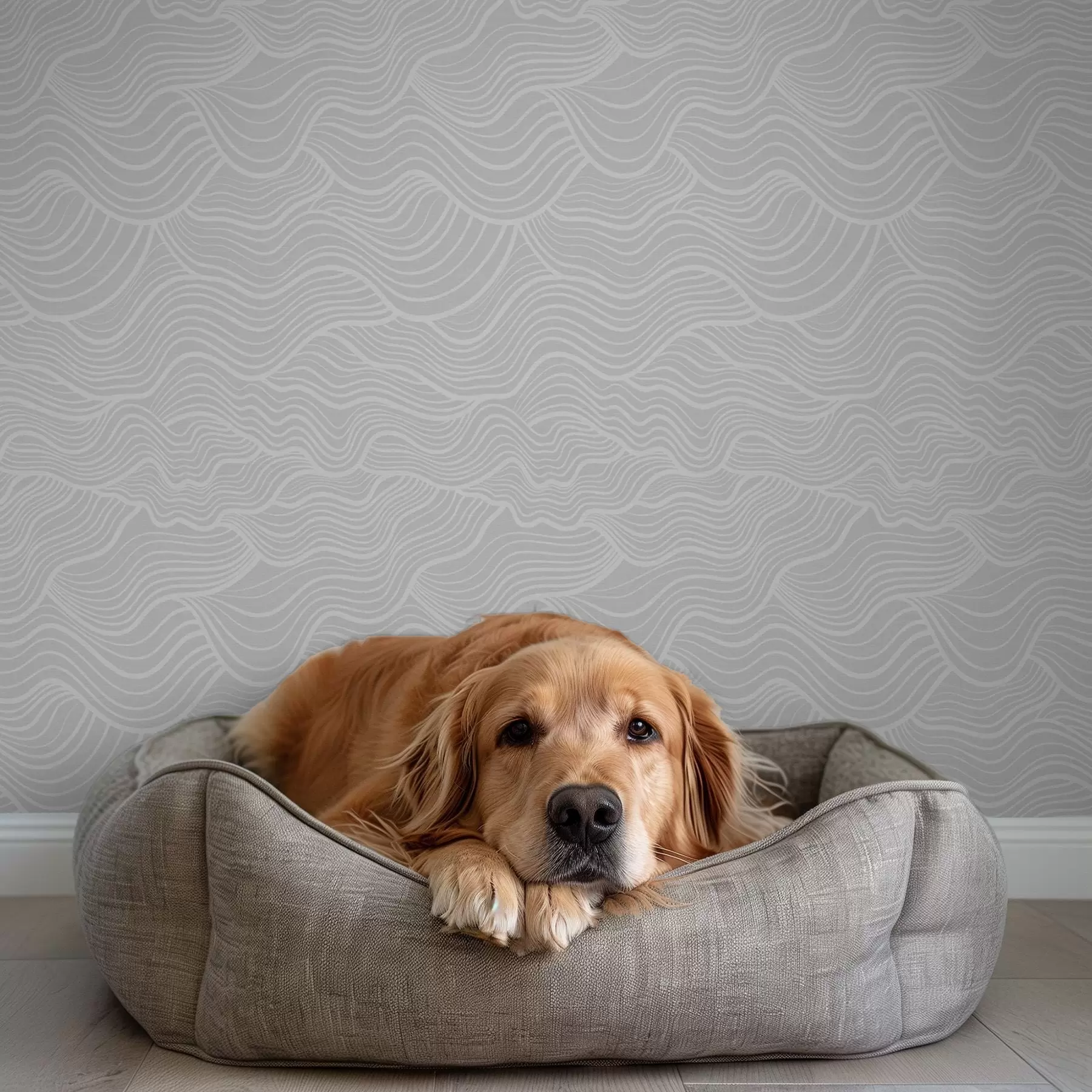 wall murals Wavy ornament: light lines on gray background a00681v2