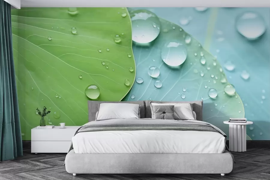 wall murals Water drops on leaves macro watercolor w04838