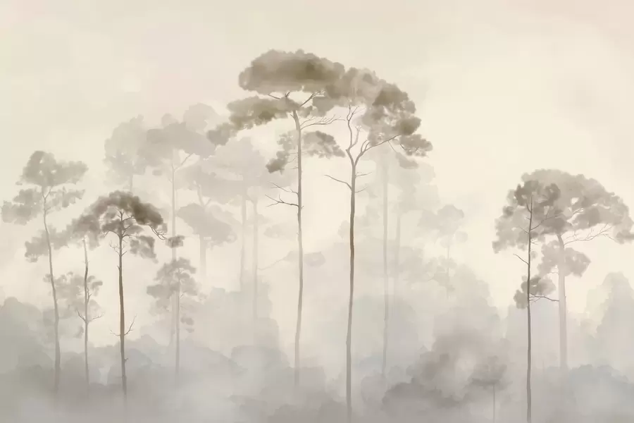 wall murals light silhouettes of pine trees in watercolour style w04634