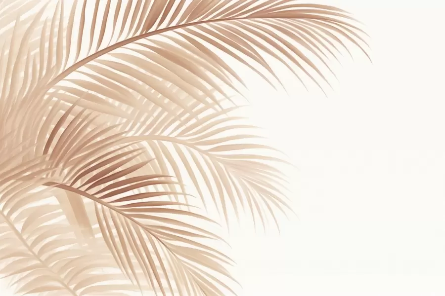 wall murals Fern leaves w04884