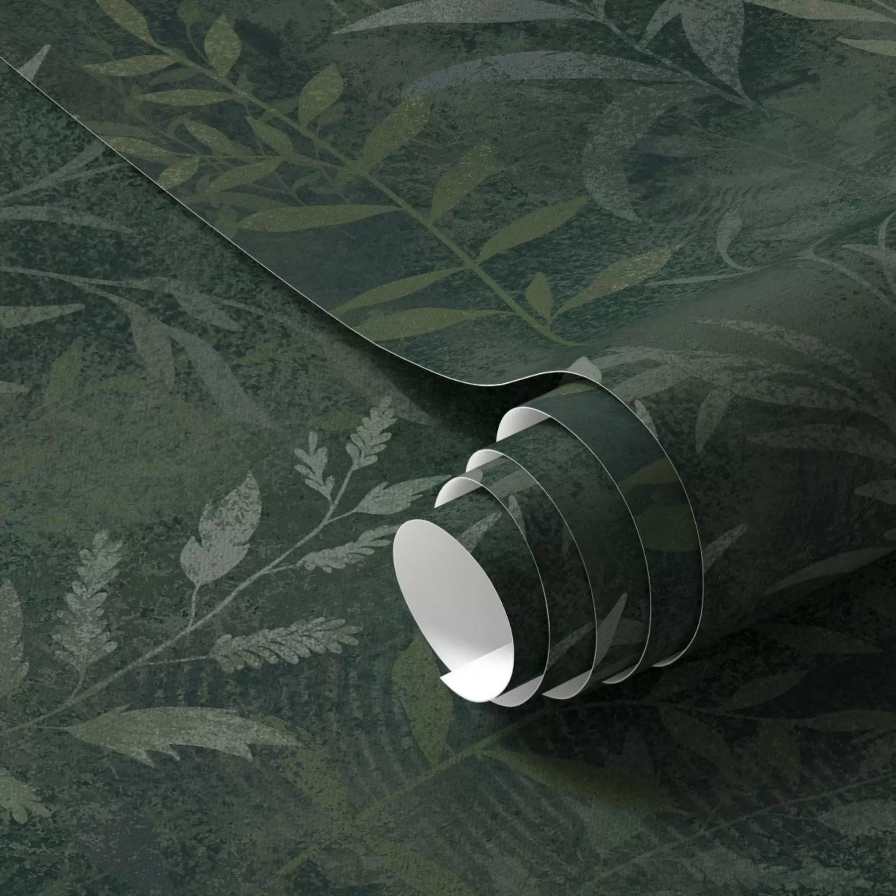 wall murals Dark green background with translucent leaf branches a00888