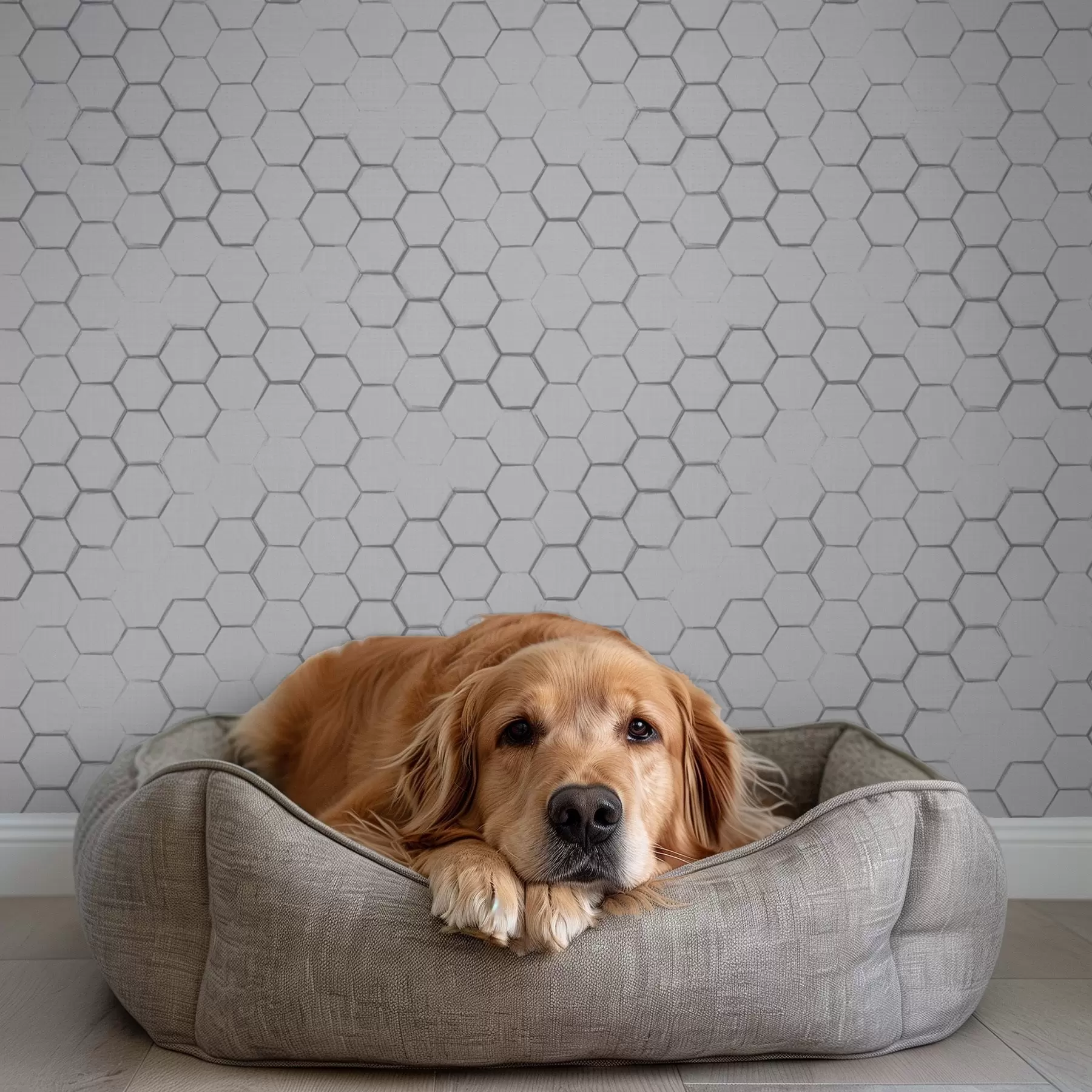 wall murals Fine hexagonal grid on a light grey textured background a01060