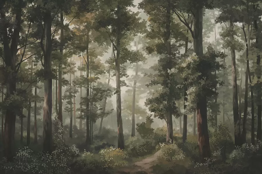 wall murals Forest illustration with mist, tall trees and a path w05089