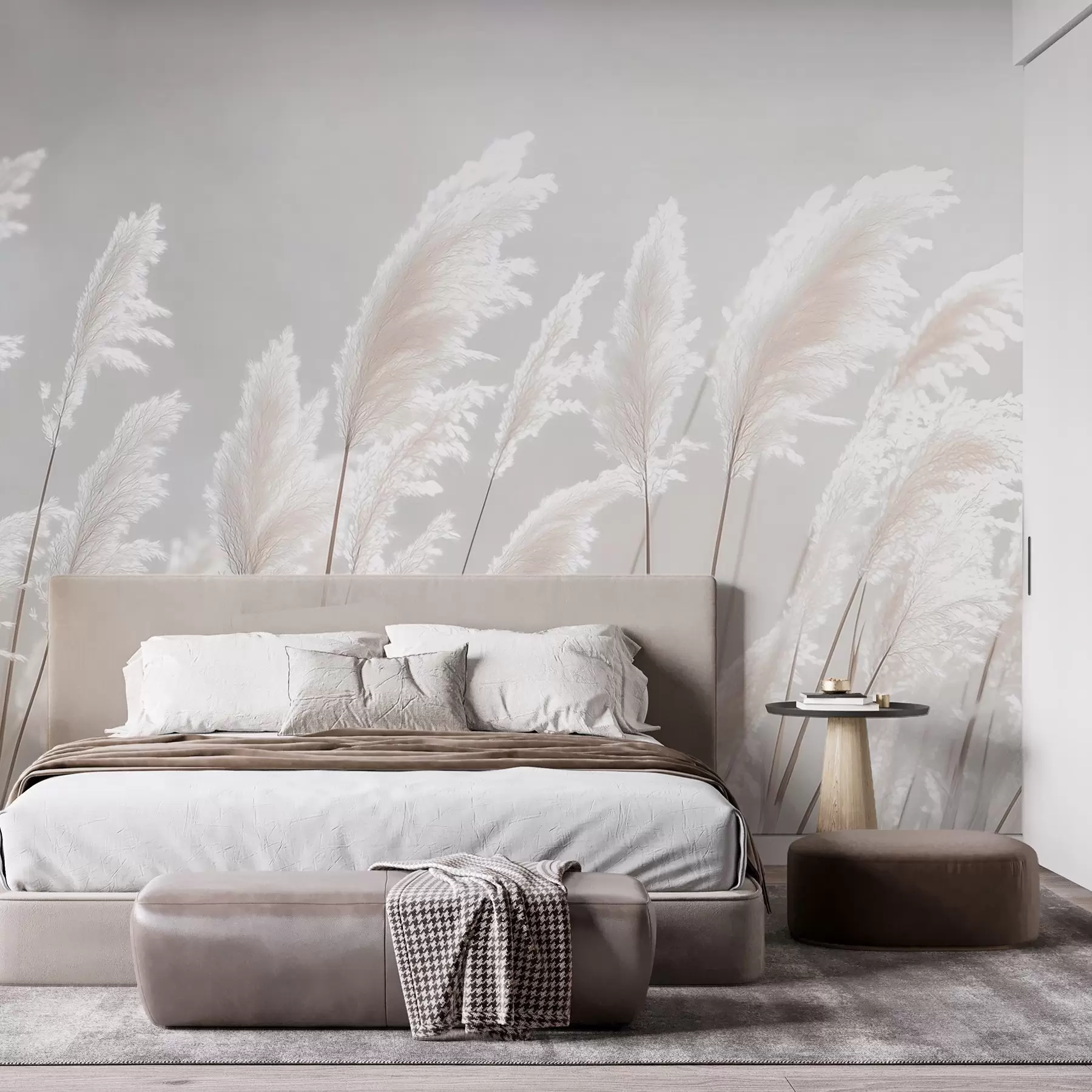 wall murals Soft white pampas grass in gentle morning light w09717
