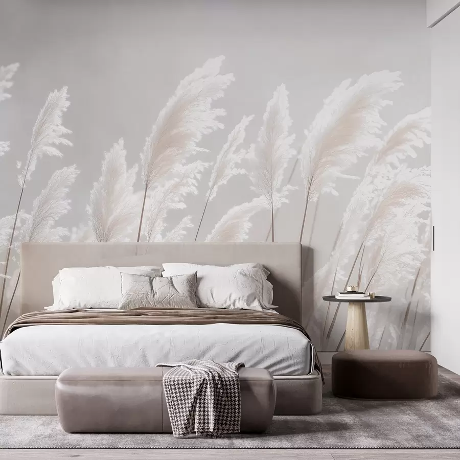 wall murals Soft white pampas grass in gentle morning light w09717