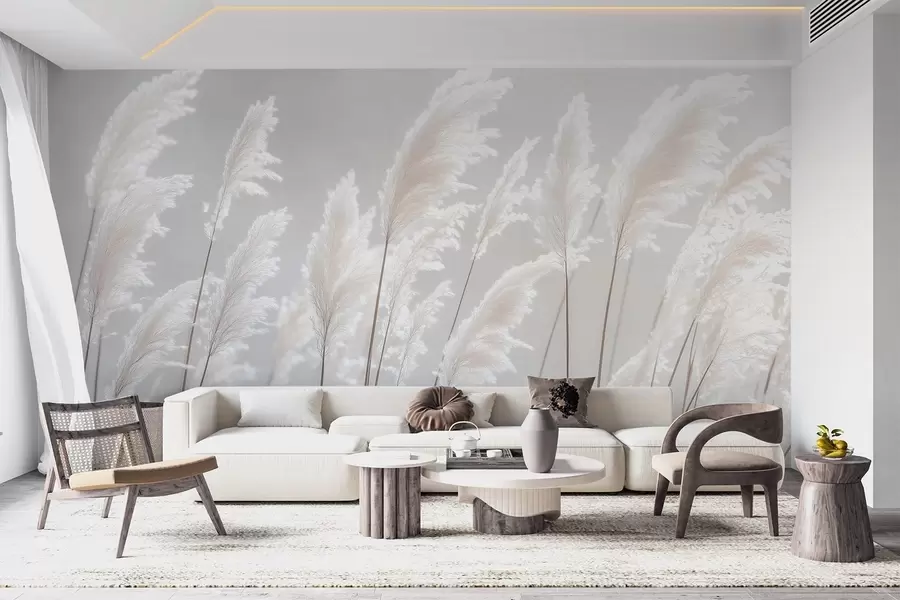 wall murals Soft white pampas grass in gentle morning light w09717