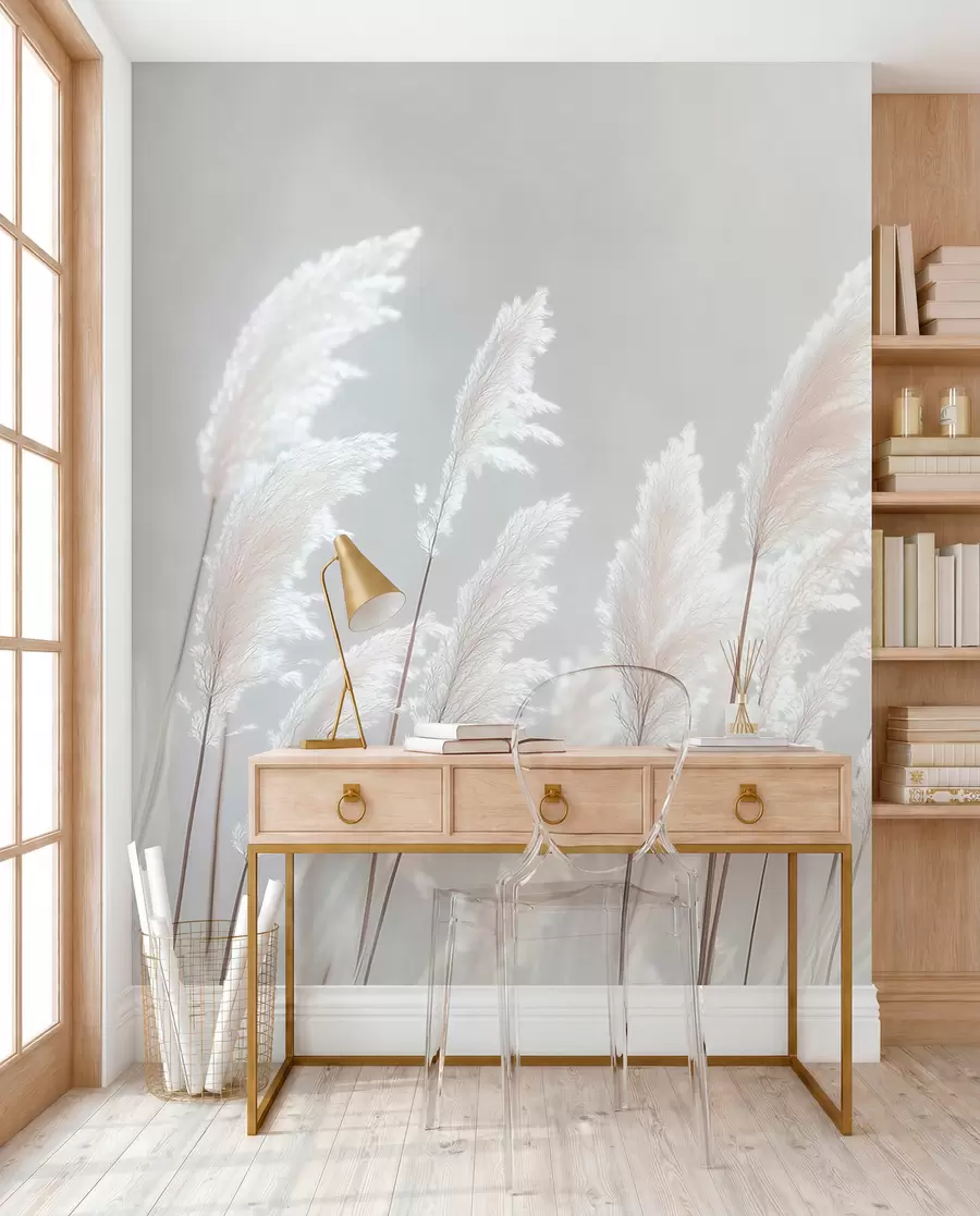 wall murals Soft white pampas grass in gentle morning light w09717