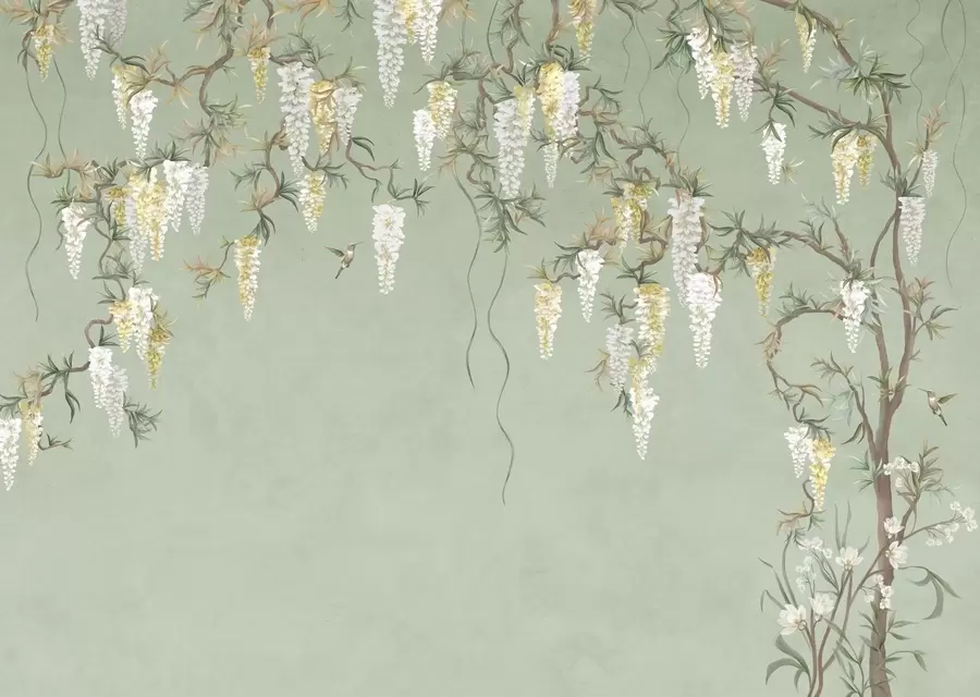 wall murals Flowering branches with white blossoms and birds on green w05394