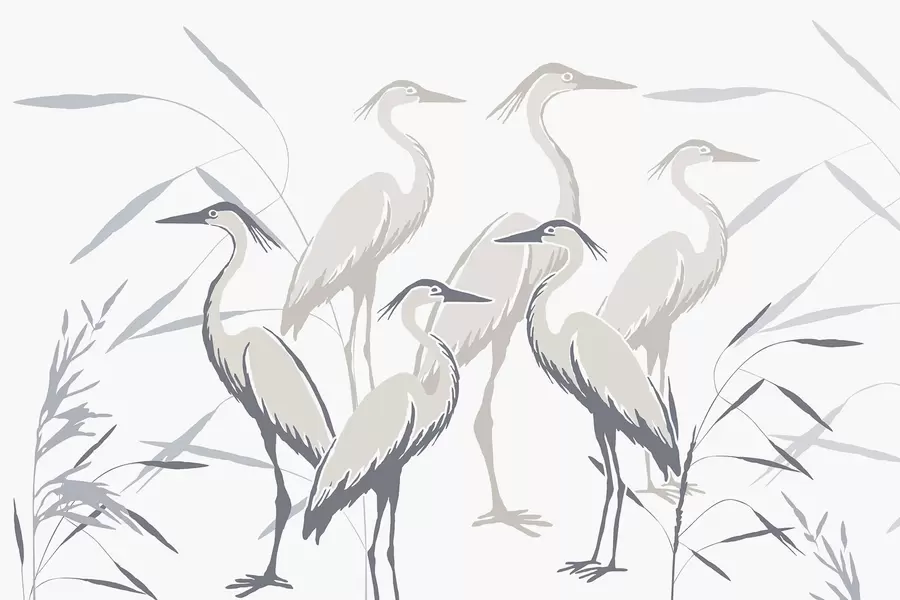 wall murals Herons w05397