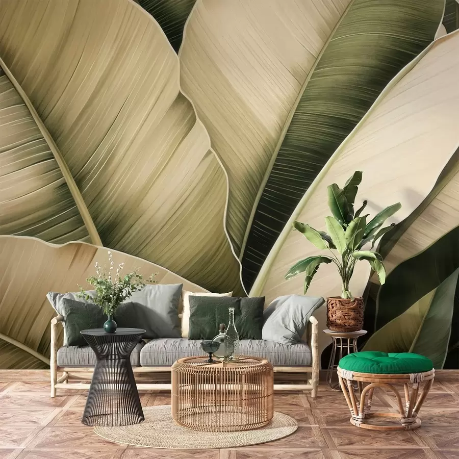 wall murals Banana leaves, long leaves w05403