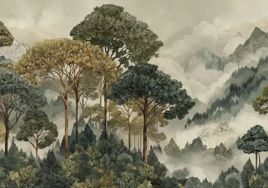 wall murals Forest with tall trees in misty mountains w05410