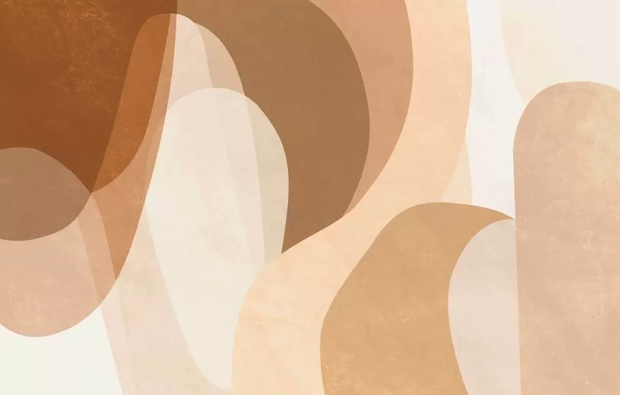 wall murals abstract curves in brown, beige and auburn shades w05387