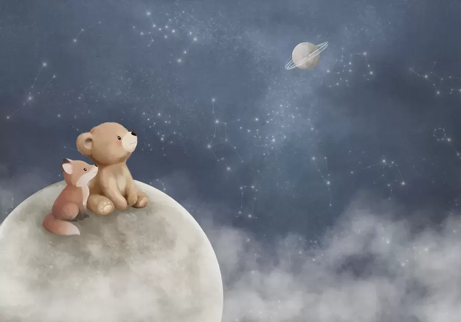 wall murals Pastel illustration bear and fox night sky w05431