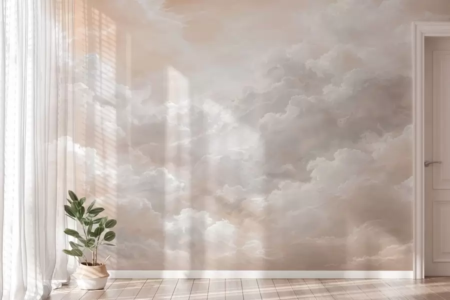 wall murals Dense clouds w05525v1