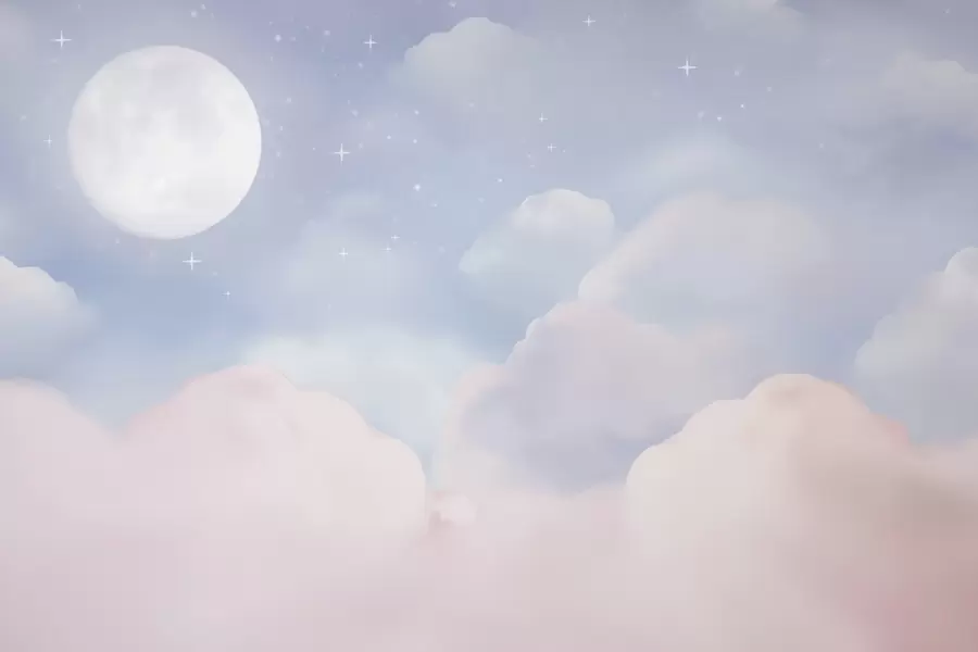 wall murals The moon in the sky w05595