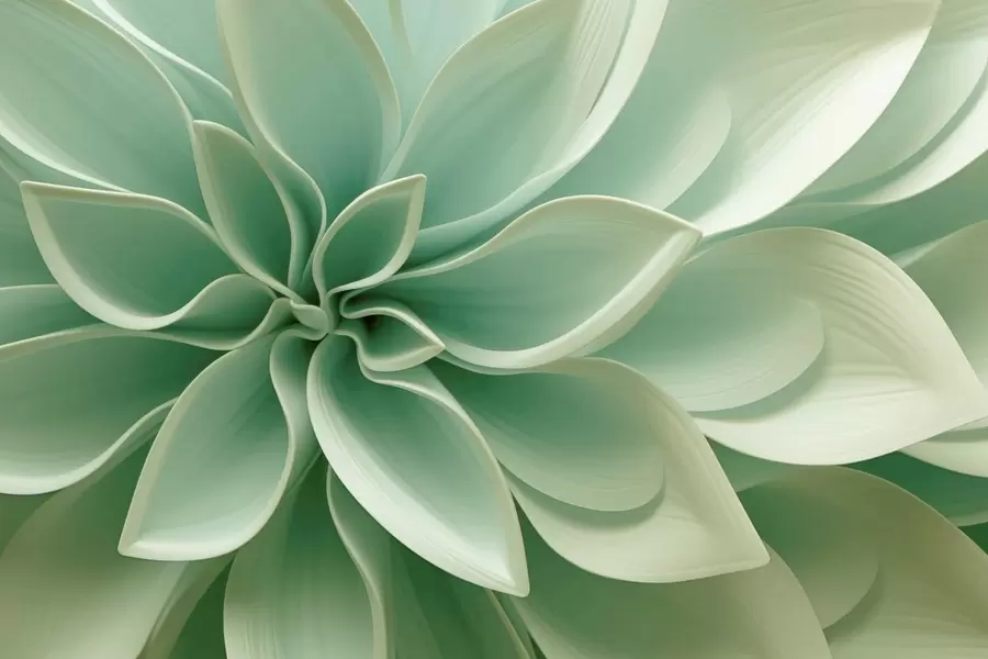 wall murals Botanical Geometry w05559