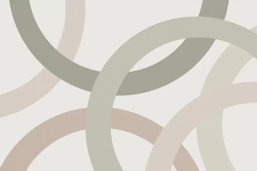 wall murals Abstraction with circles w05709