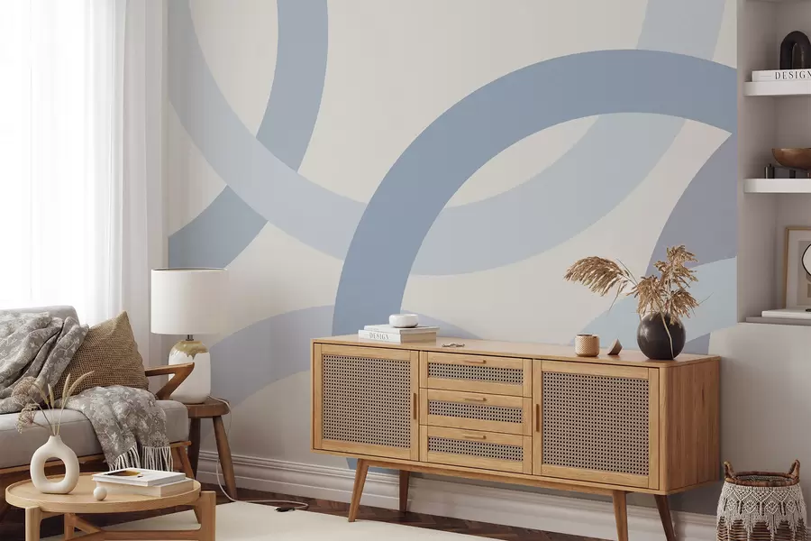 wall murals Abstraction with circles w05709v1