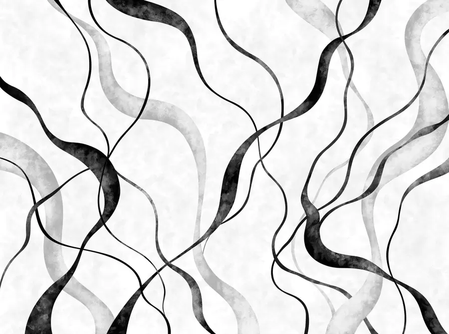 wall murals Abstract flowing lines in monochrome shades w05699