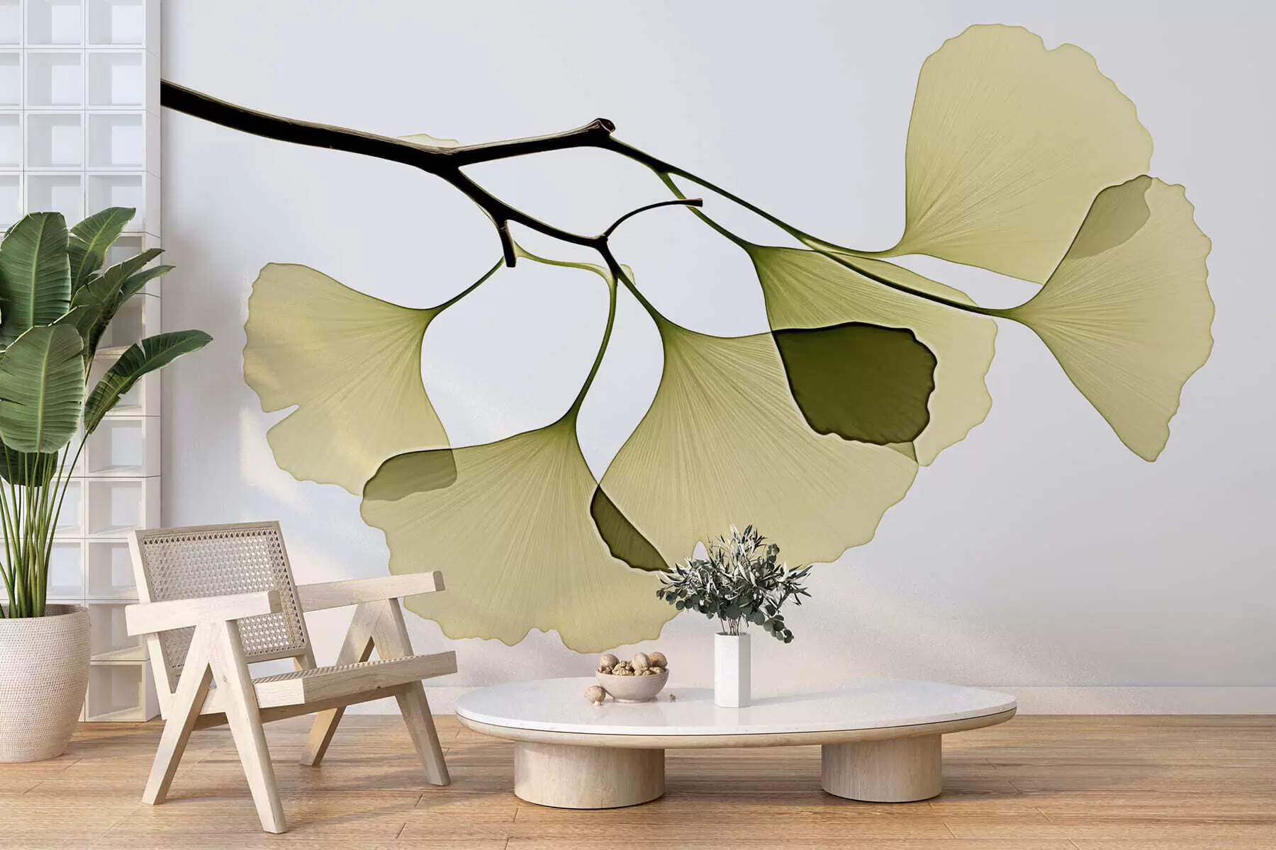 wall murals Ginkgo Fan Leaves w09968