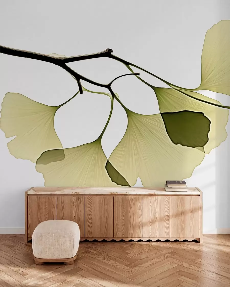 wall murals Ginkgo Fan Leaves w09968