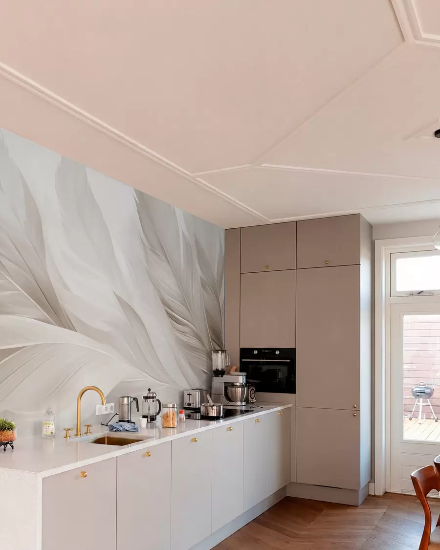 wall murals Feathers w05793v1