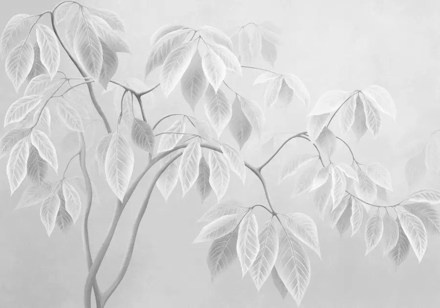 wall murals Pale branches with large leaves on a soft background w05806