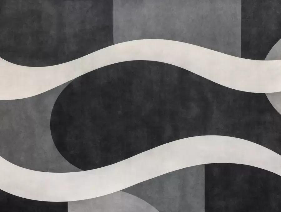 wall murals Graphite with flowing pale waves over deep charcoal gray forms w05854