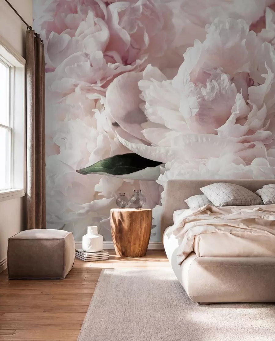 wall murals Pale pink peonies u59600