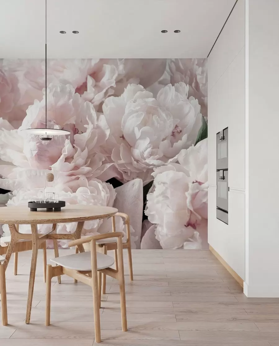 wall murals Pale pink peonies u59600