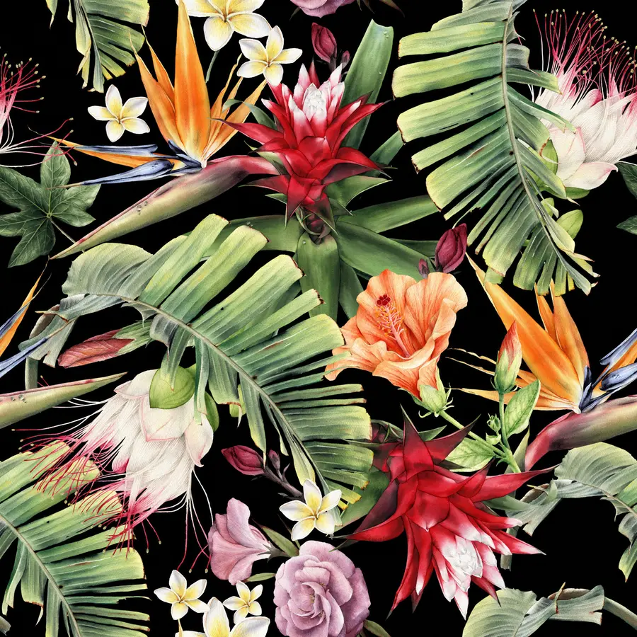 wall murals Tropical pattern u72341