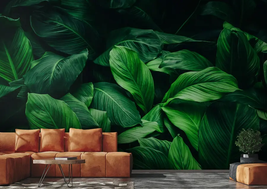 wall murals Leaves u72356