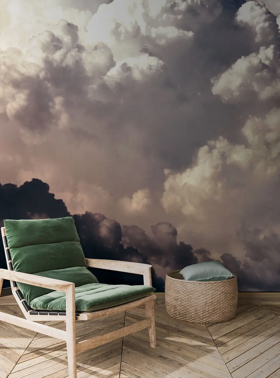wall murals Kuchevo-removal clouds u72716