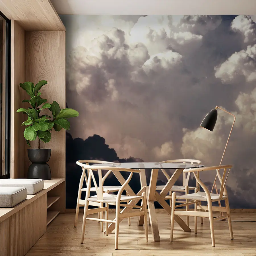wall murals Kuchevo-removal clouds u72716